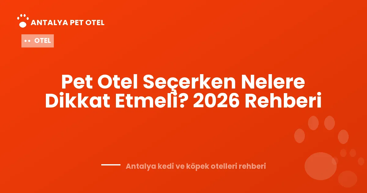 Toronto Pet Otel Rehberi 2026: 5 Aktif İşletme