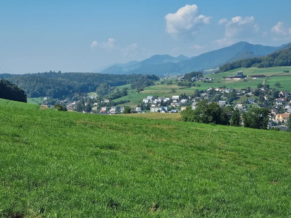 Erlinsbach - Aargau pet otel görseli 3