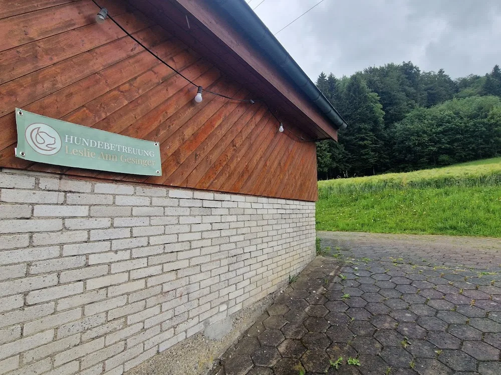 Hundebetreuung Leslie - Aargau pet otel görseli 3