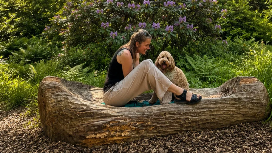Hundehort Auenstein - Aargau pet otel