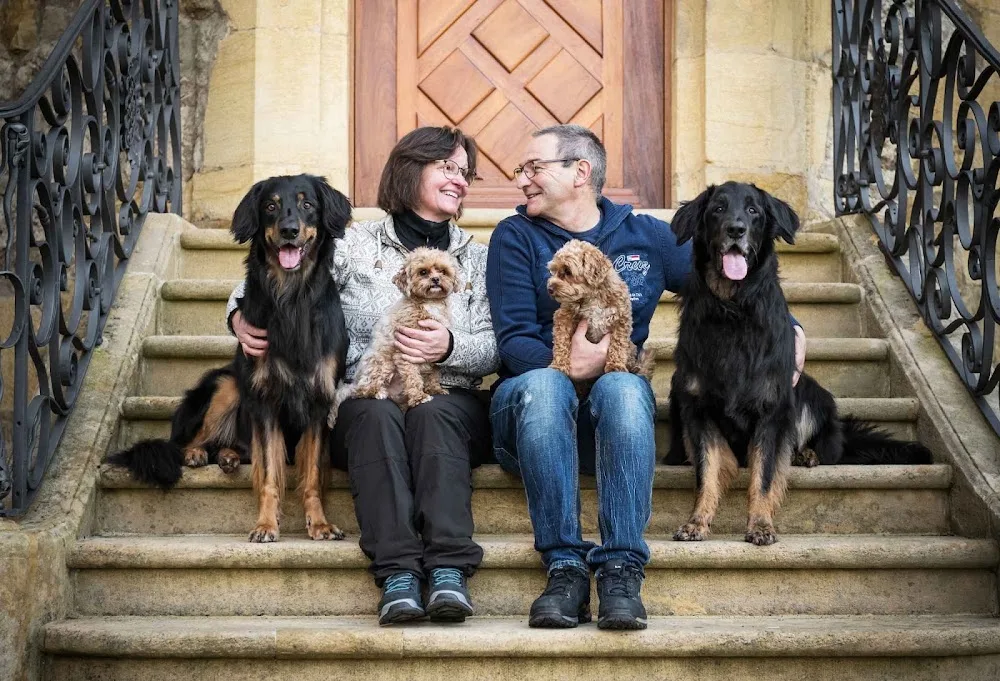 Hundepension Herzpfoten - Aargau pet otel görseli 3