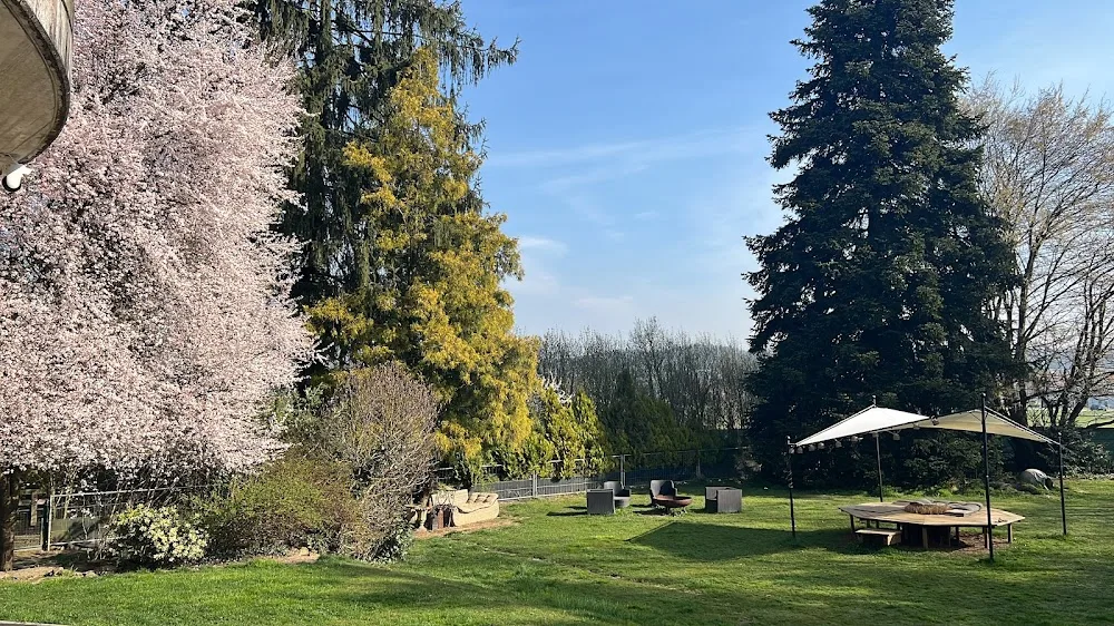 Hundepension im Park - Aargau pet otel görseli 3