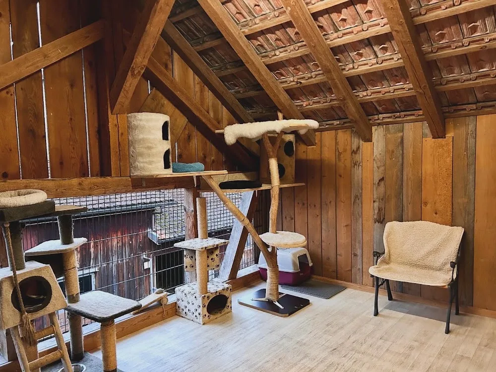 Katzenhotel Neerach - Aargau pet otel