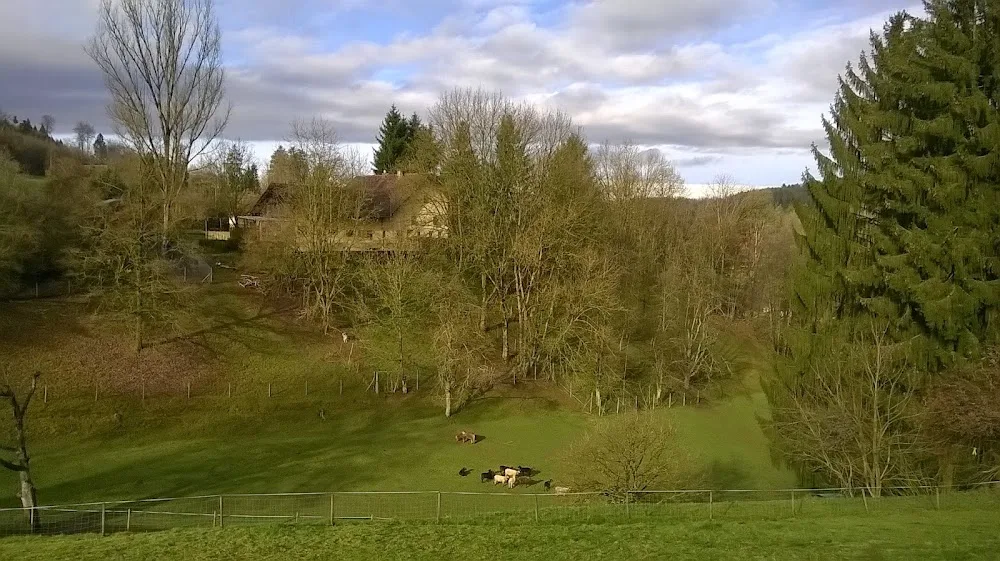 Tierpension Hof - Aargau pet otel