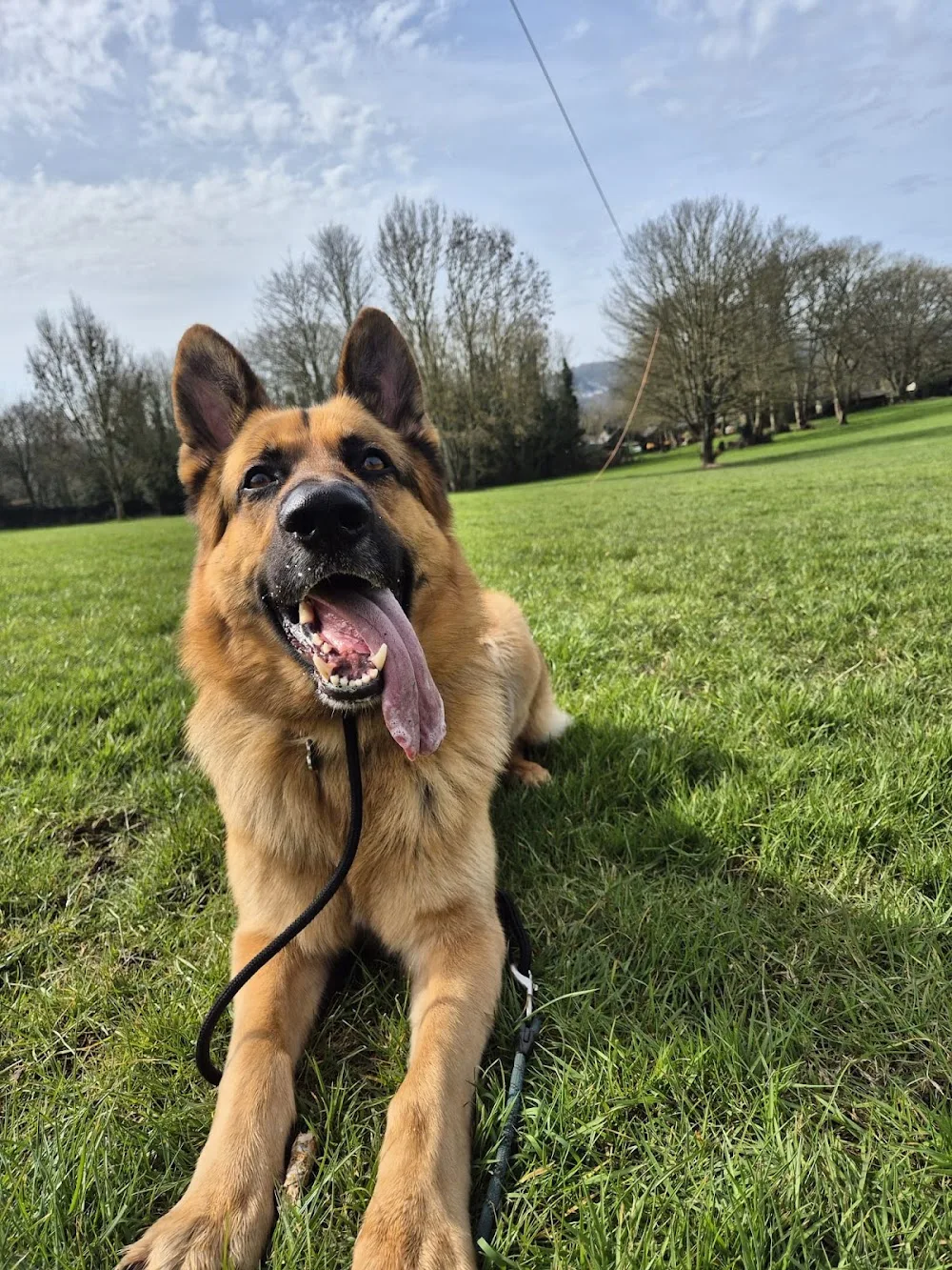 Canine Karma Resorts - Abbots Langley pet otel