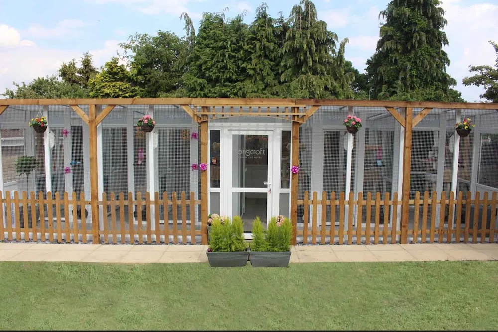 Longcroft Luxury Cat Hotel Cuffley - Abbots Langley pet otel