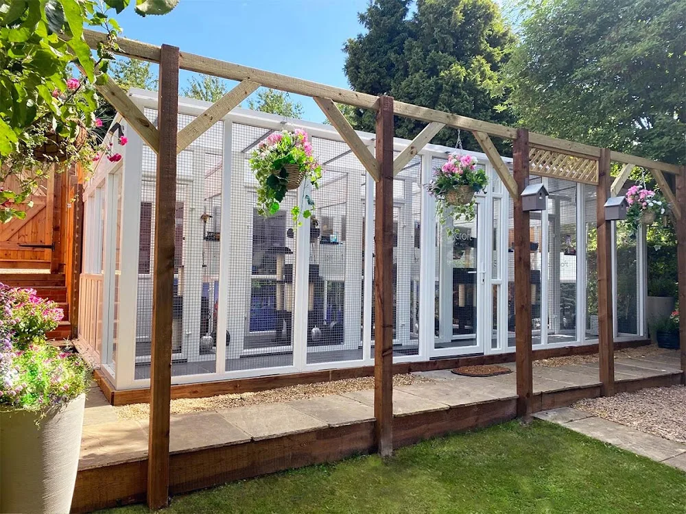 Longcroft Luxury Cat Hotel St Albans, Hertfordshire - Abbots Langley pet otel