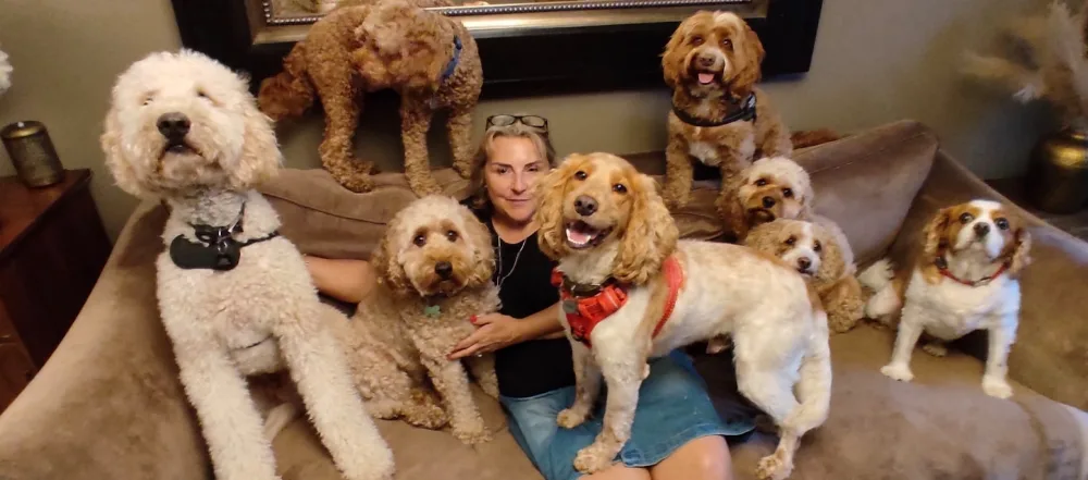 Must Love Dogs Doggy Daycare & Boarding - Abbots Langley pet otel
