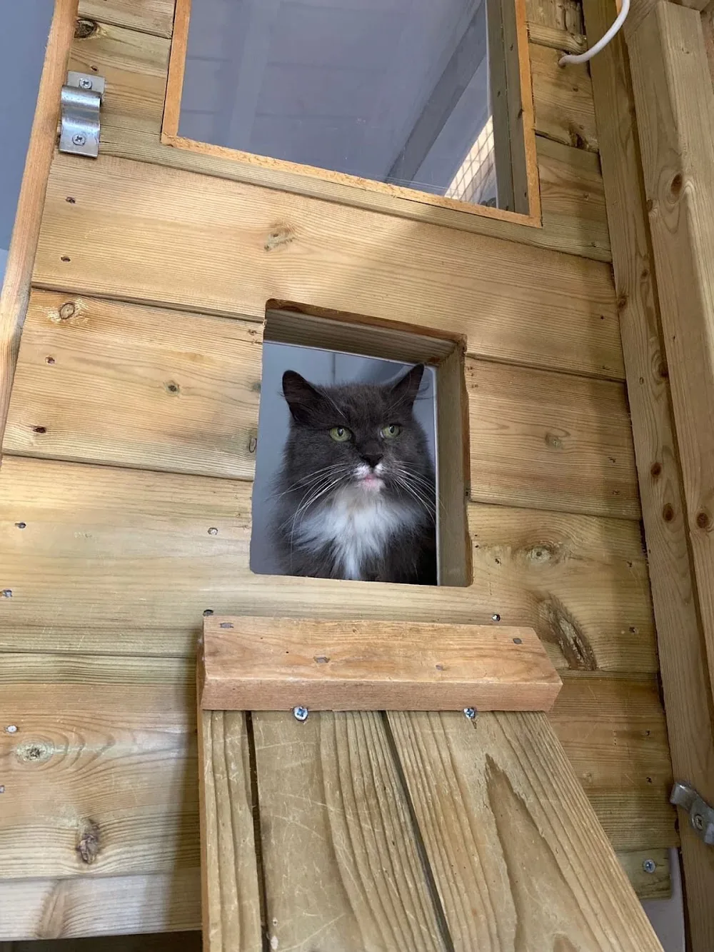 Purrfect Pets Hotel - Abbots Langley pet otel görseli 3