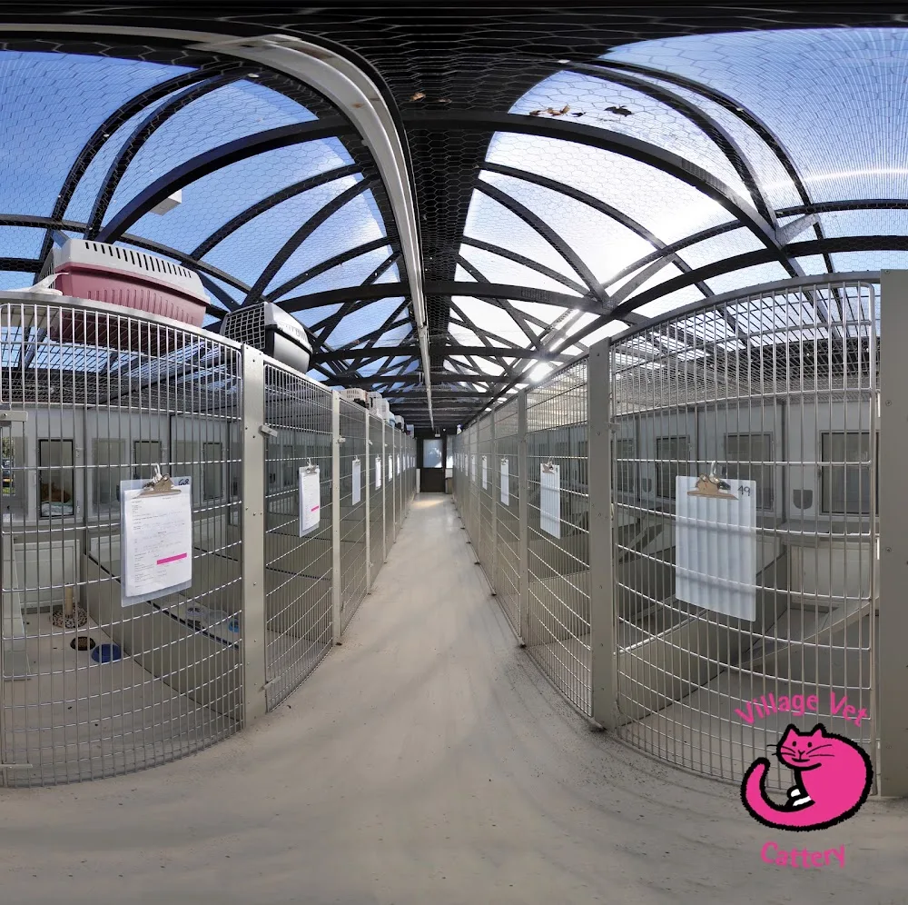 Village Vet Cattery - Abbots Langley pet otel görseli 3