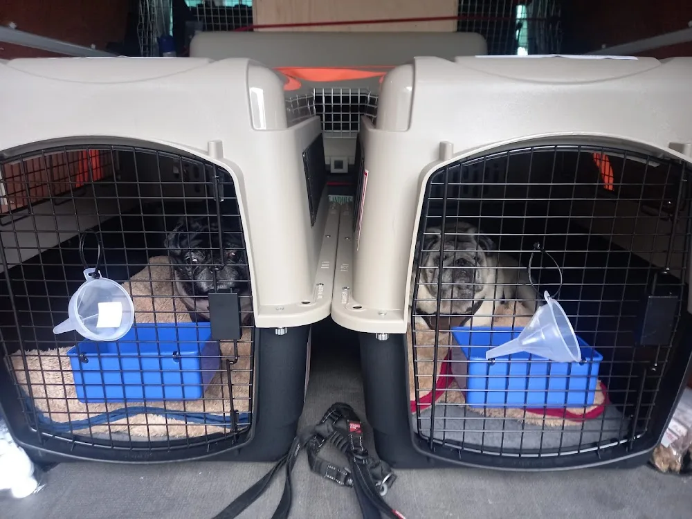 Aberdeen Pet Services - Aberdeenshire pet otel görseli 3