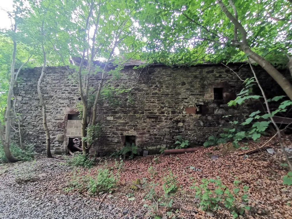 Bankhead Kennels - Aberdeenshire pet otel görseli 3
