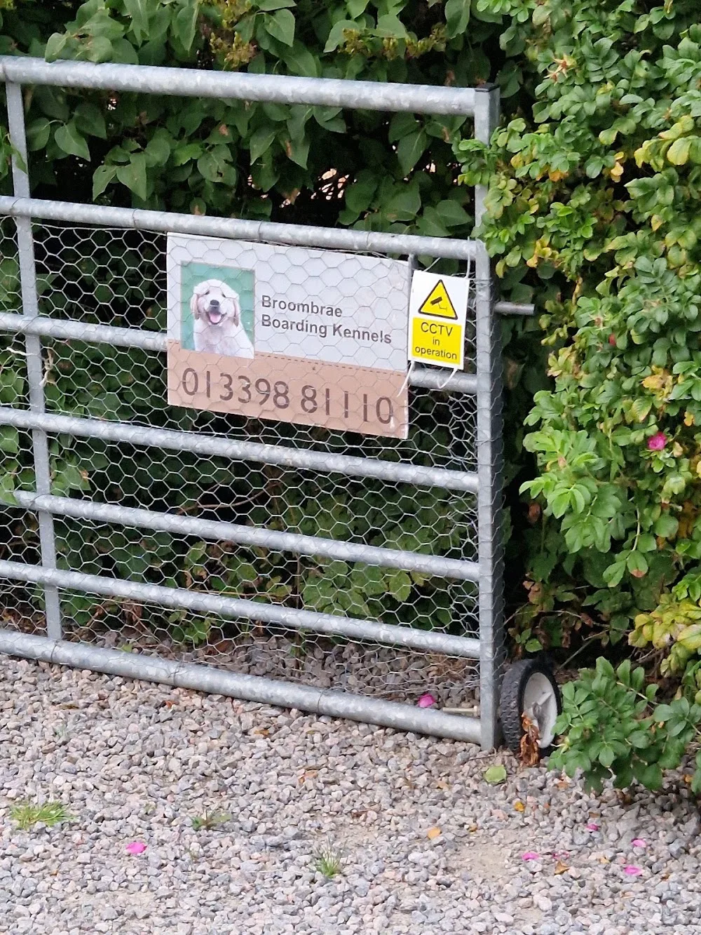 Broombrae Boarding Kennels - Aberdeenshire pet otel görseli 3