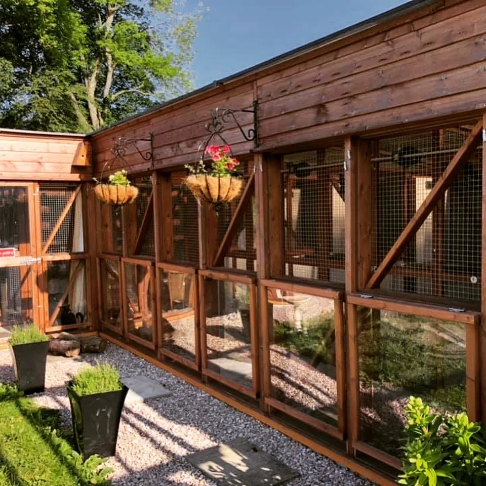 Catz Cattery - Aberdeenshire pet otel görseli 2