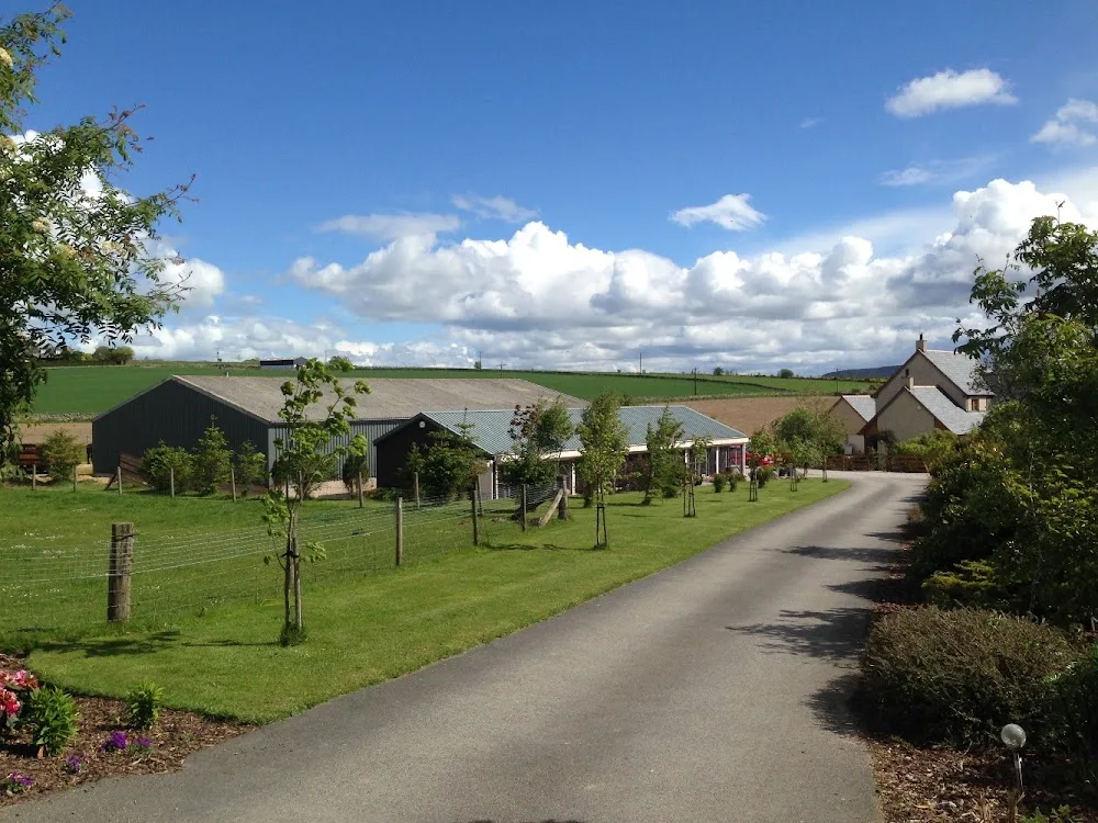 Erinvale Cattery - Aberdeenshire pet otel görseli 2