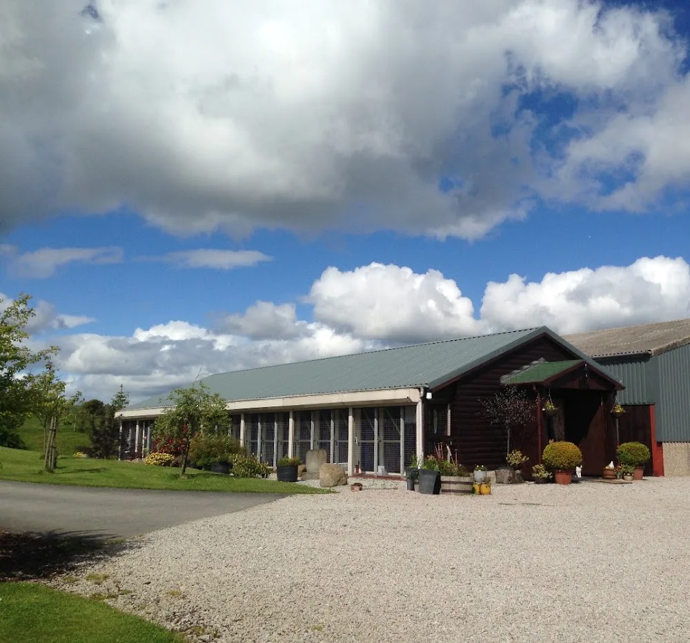 Erinvale Cattery - Aberdeenshire pet otel görseli 3