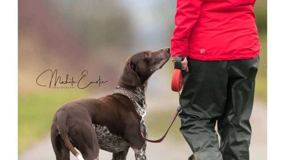 Kinmundy Kennels & Cattery - Aberdeenshire pet otel görseli 2
