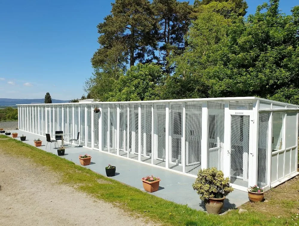 Purfect Paws Pet Hotel - Aberdeenshire pet otel