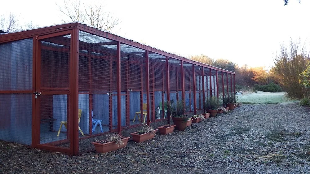 Rora Boarding Kennels and Cattery - Aberdeenshire pet otel görseli 3