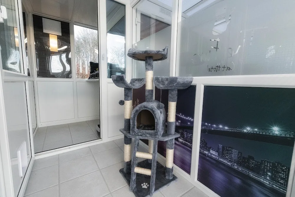 The Furs Cat Hotel - Aberdeenshire pet otel görseli 3