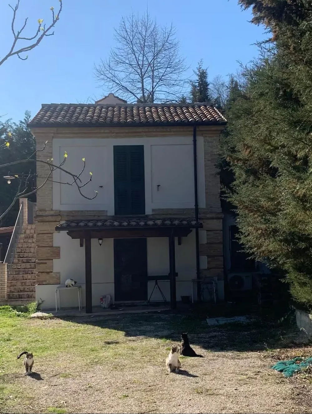 A casa dei gatti - Abruzzo pet otel