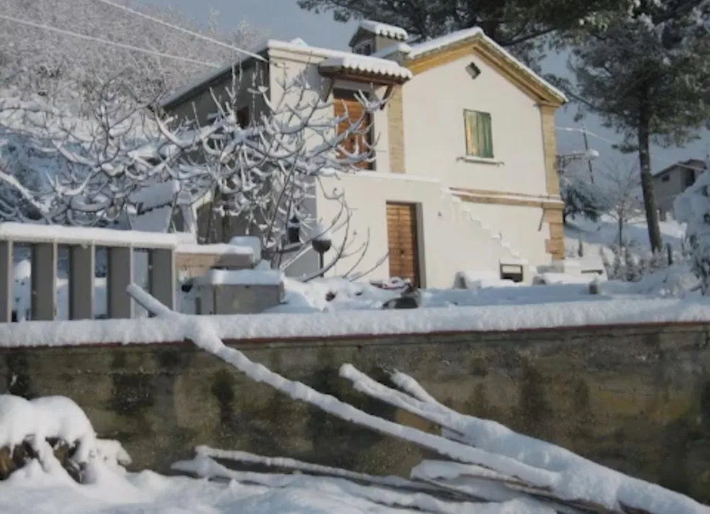 A casa dei gatti - Abruzzo pet otel görseli 3