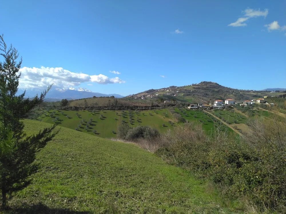 Asilo albergo per cani Albani Maria - Abruzzo pet otel