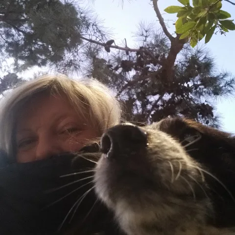 Asilo Albergo Per Cani Di Di Francescantonio M. Sas - Abruzzo pet otel görseli 3