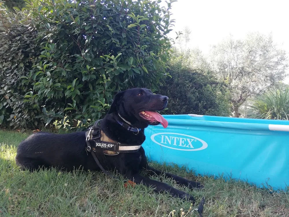 Il Salice Pensione per cani - Abruzzo pet otel görseli 3