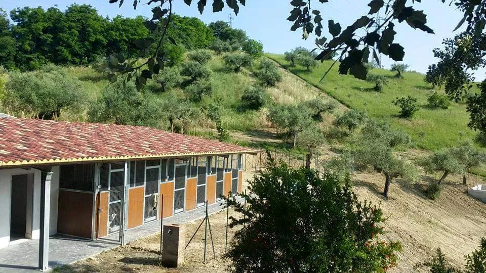 Pensione per cani Delle Monache - Abruzzo pet otel görseli 3