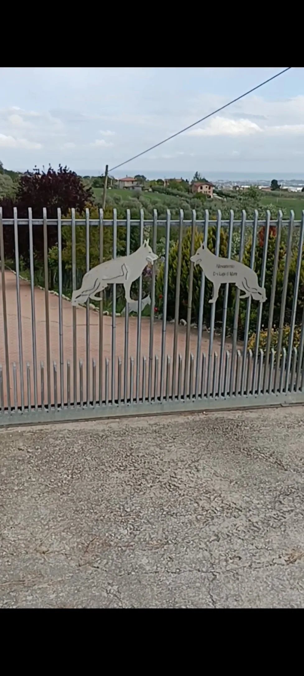 Pensione per cani Roseto - Abruzzo pet otel
