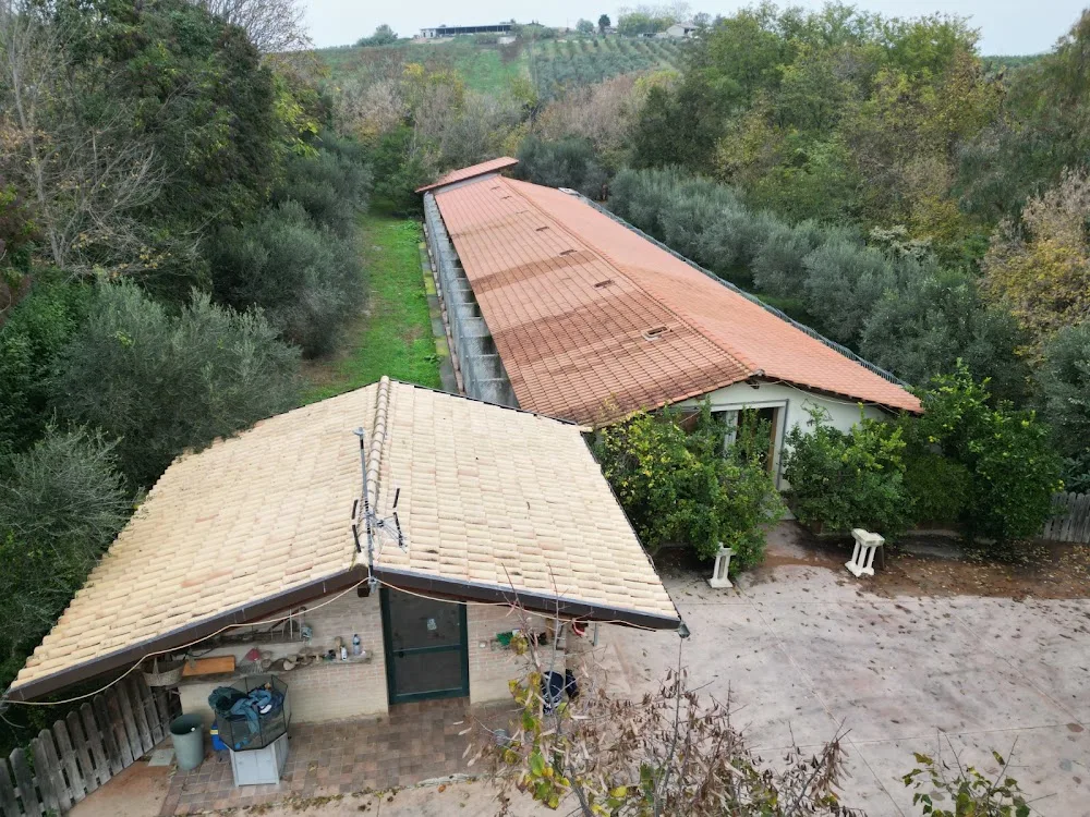 Pensione per cani Roseto - Abruzzo pet otel görseli 3