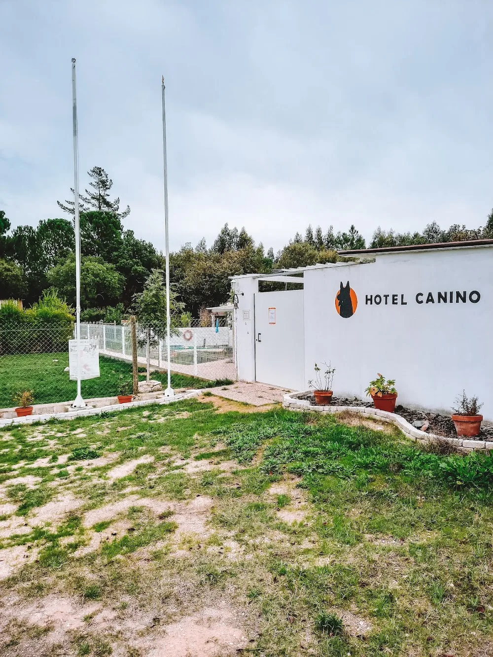 Hotel Canino - Quinta Das Rosas - Açores pet otel görseli 3