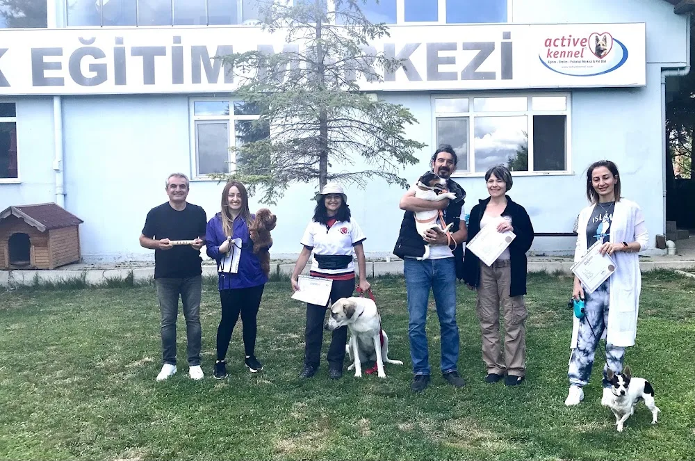 Active Kennel Köpek Eğitim Psikoloji Merkezi-Suit Odalı Pet Otel - Ankara pet otel görseli 3
