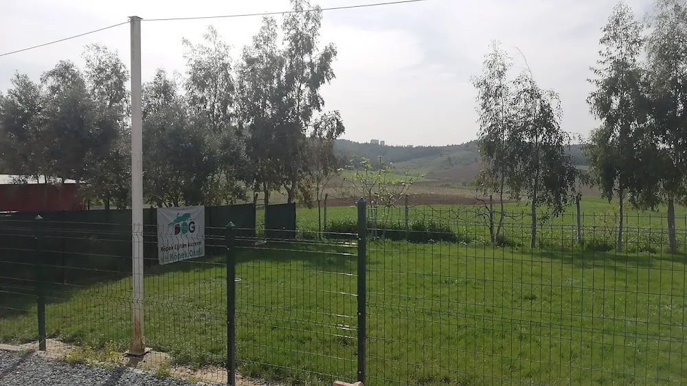 ADANA DOG CLUB köpek eğitim merkezi ve oteli - Adana pet otel