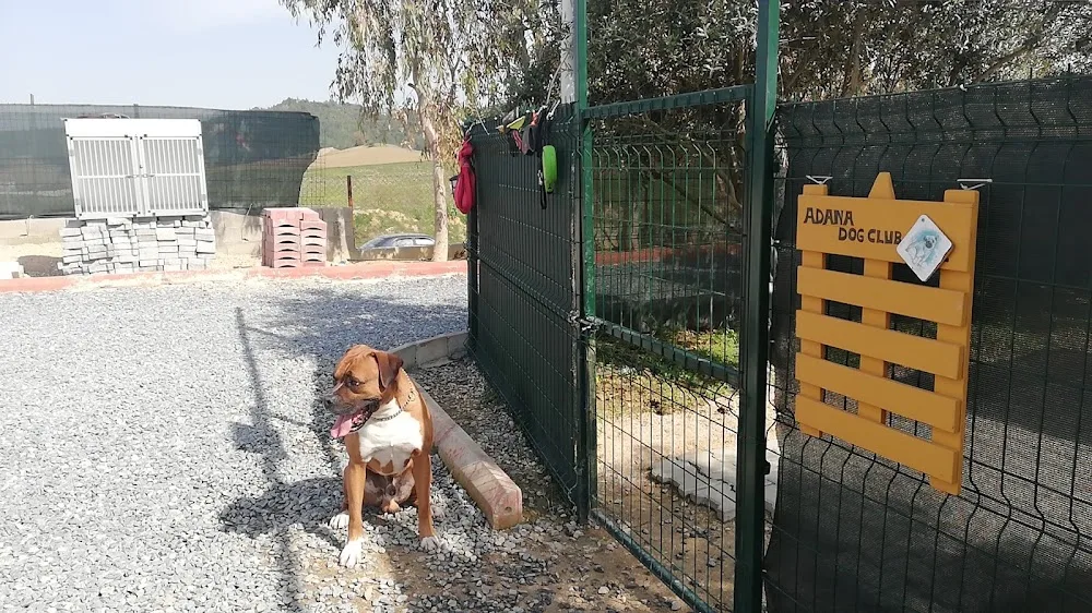 ADANA DOG CLUB köpek eğitim merkezi ve oteli - Adana pet otel görseli 3