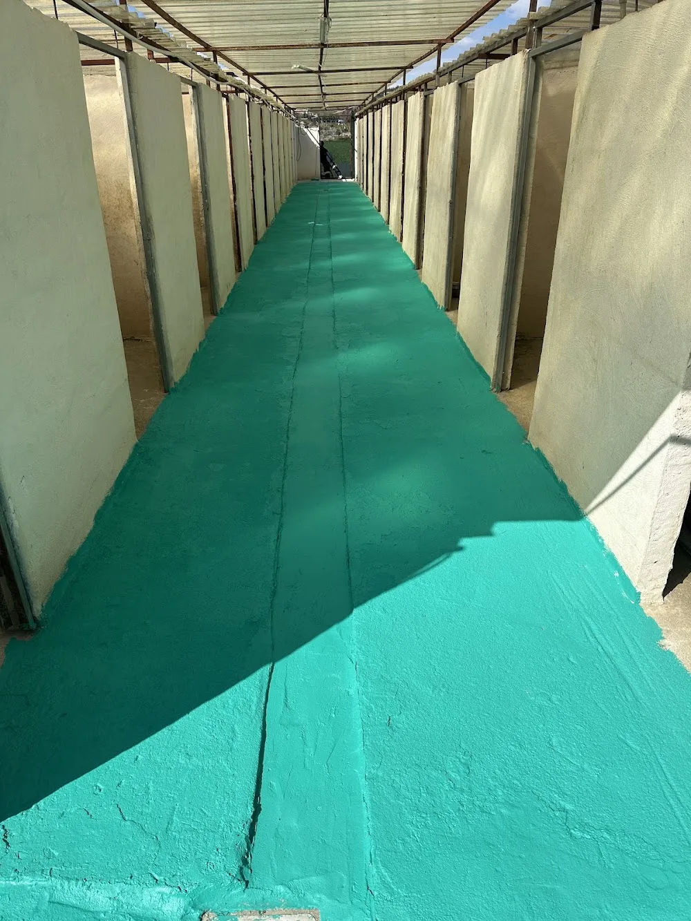 ADANA DOG FARM Köpek Eğitim Merkezi & Köpek Oteli & Pet Otel - Adana pet otel görseli 3