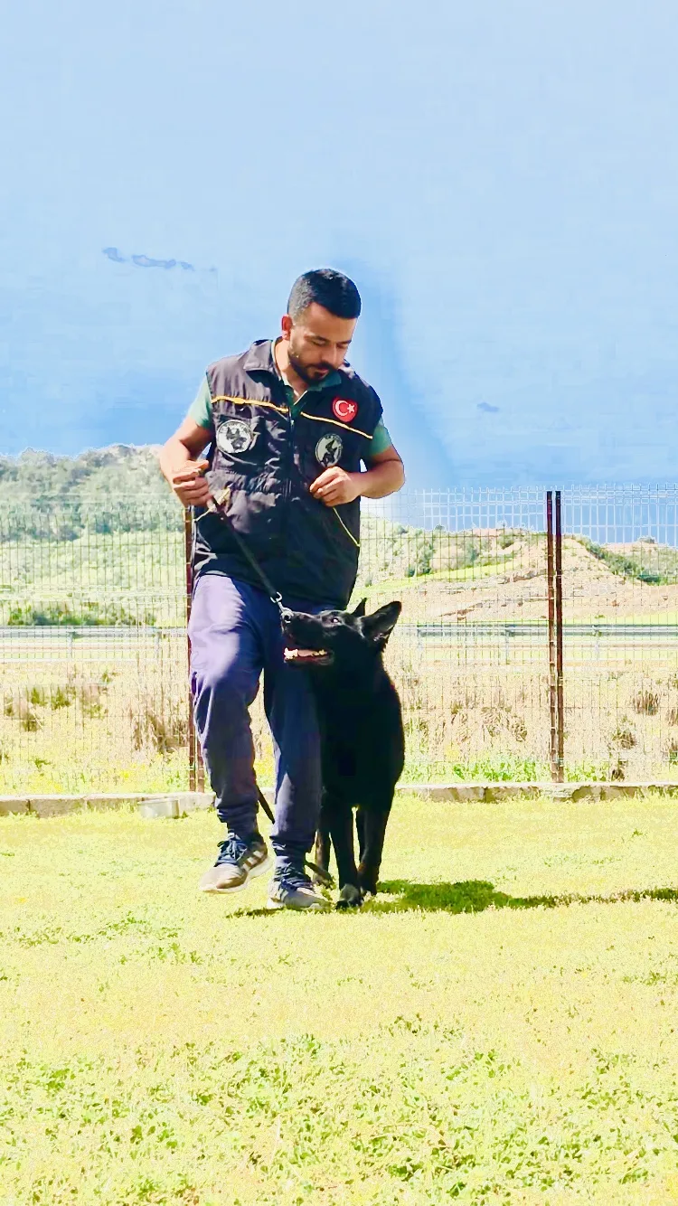 ADANA İZGİ KÖPEK EĞİTİM MERKEZİ VE KÖPEK OTELİ - Adana pet otel
