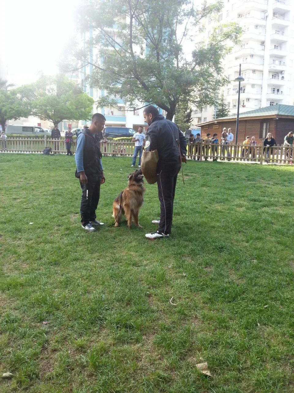 ADANA İZGİ KÖPEK EĞİTİM MERKEZİ VE KÖPEK OTELİ - Adana pet otel görseli 3