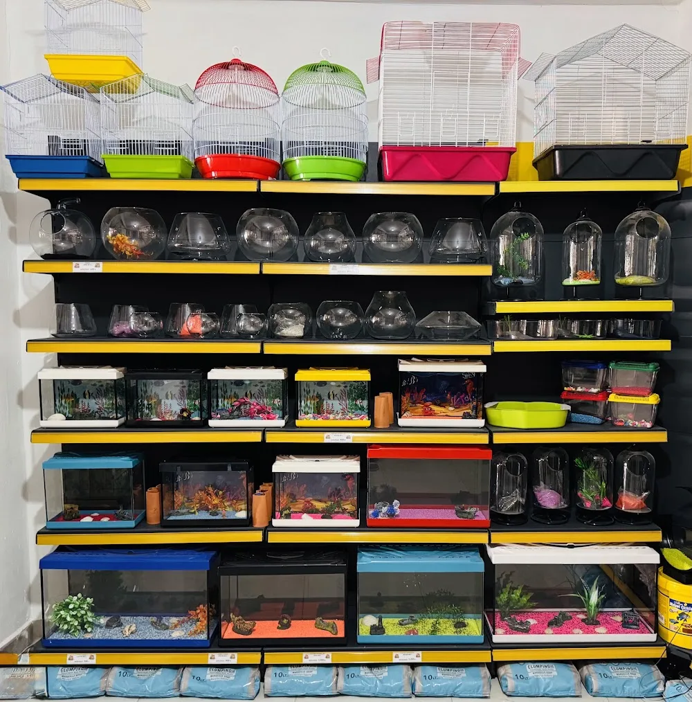 PET HOUSE PETSHOP - Adıyaman pet otel görseli 3