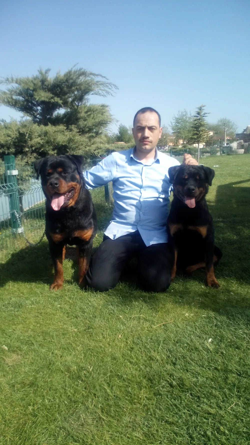 VON LASYU KENNEL / AFYON ROTTWEİLER - Afyonkarahisar pet otel
