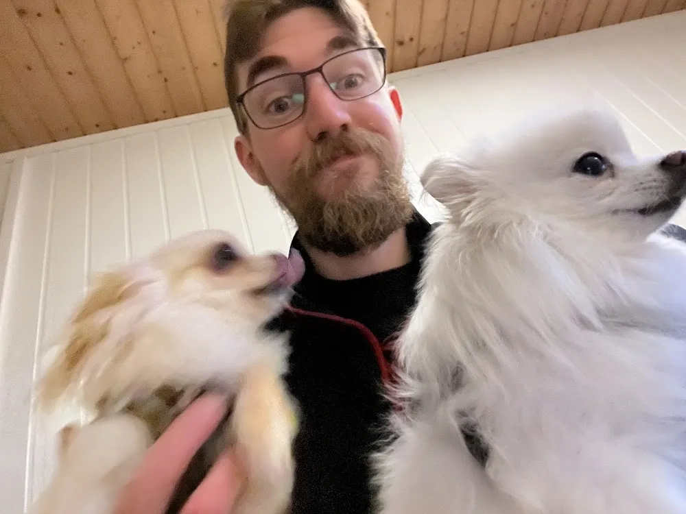 Cozy Hundehotell - Agder pet otel görseli 3