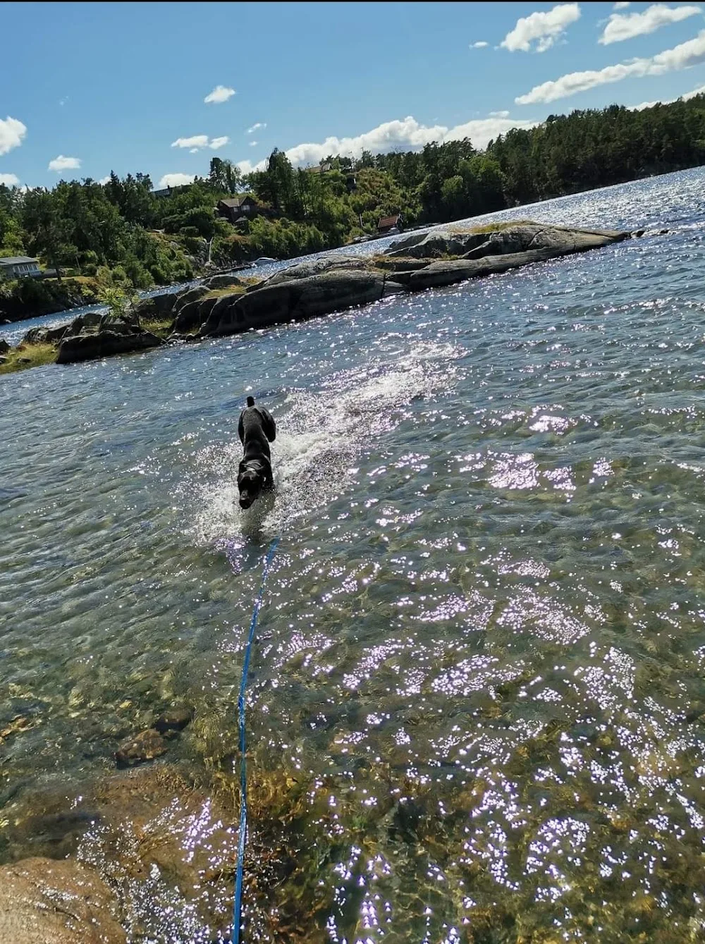 Flakkefossen Kennel og Hundepensjonat - Agder pet otel