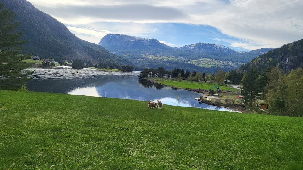 Kelly's Kennel - Agder pet otel görseli 2