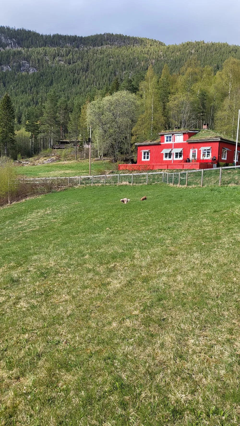 Kelly's Kennel - Agder pet otel görseli 3