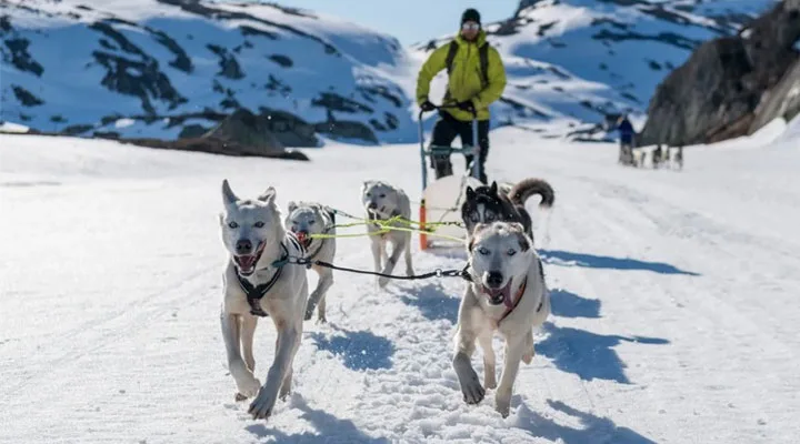 Sirdal Huskyfarm AS - Agder pet otel görseli 2