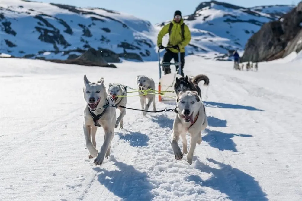 Sirdal Huskyfarm AS - Agder pet otel görseli 3