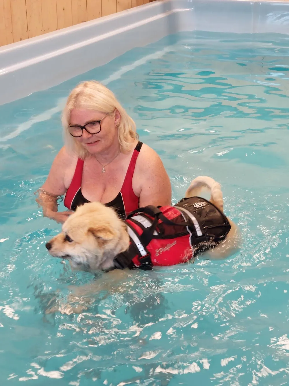 Swim & Trim 4 Dogs - Agder pet otel görseli 2