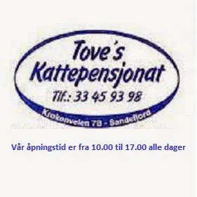 Toves Kattepensjonat - Agder pet otel görseli 3