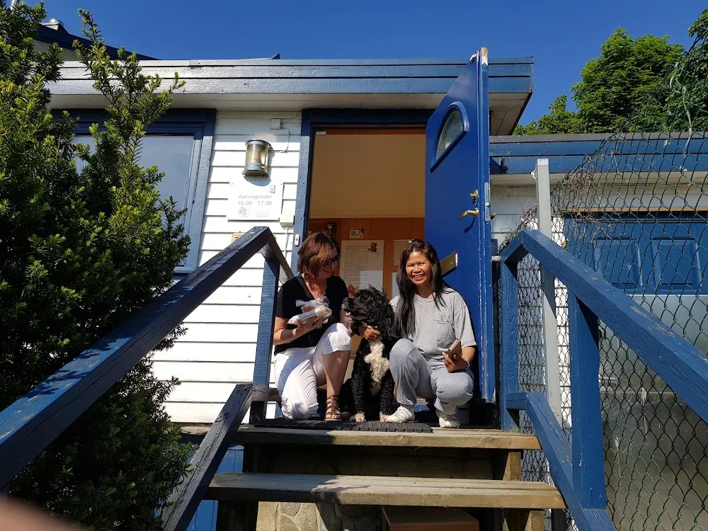 Zarstø Dog and Cat Hotel - Agder pet otel görseli 2